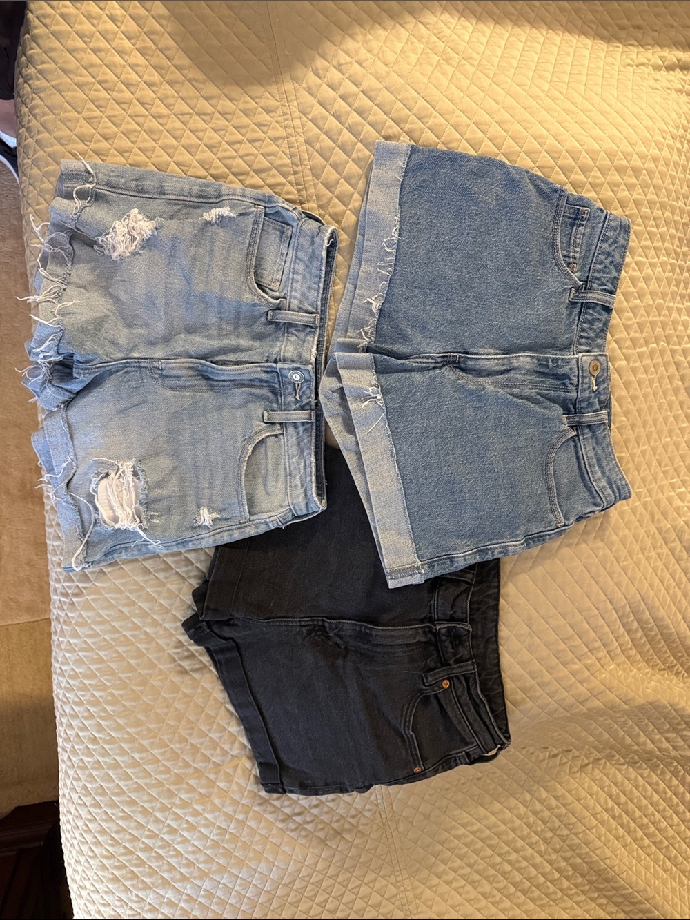 Hollister Denim Shorts bundle
